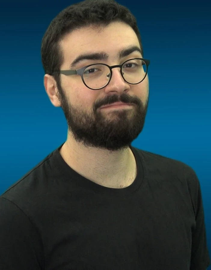 Regelegorila-picture